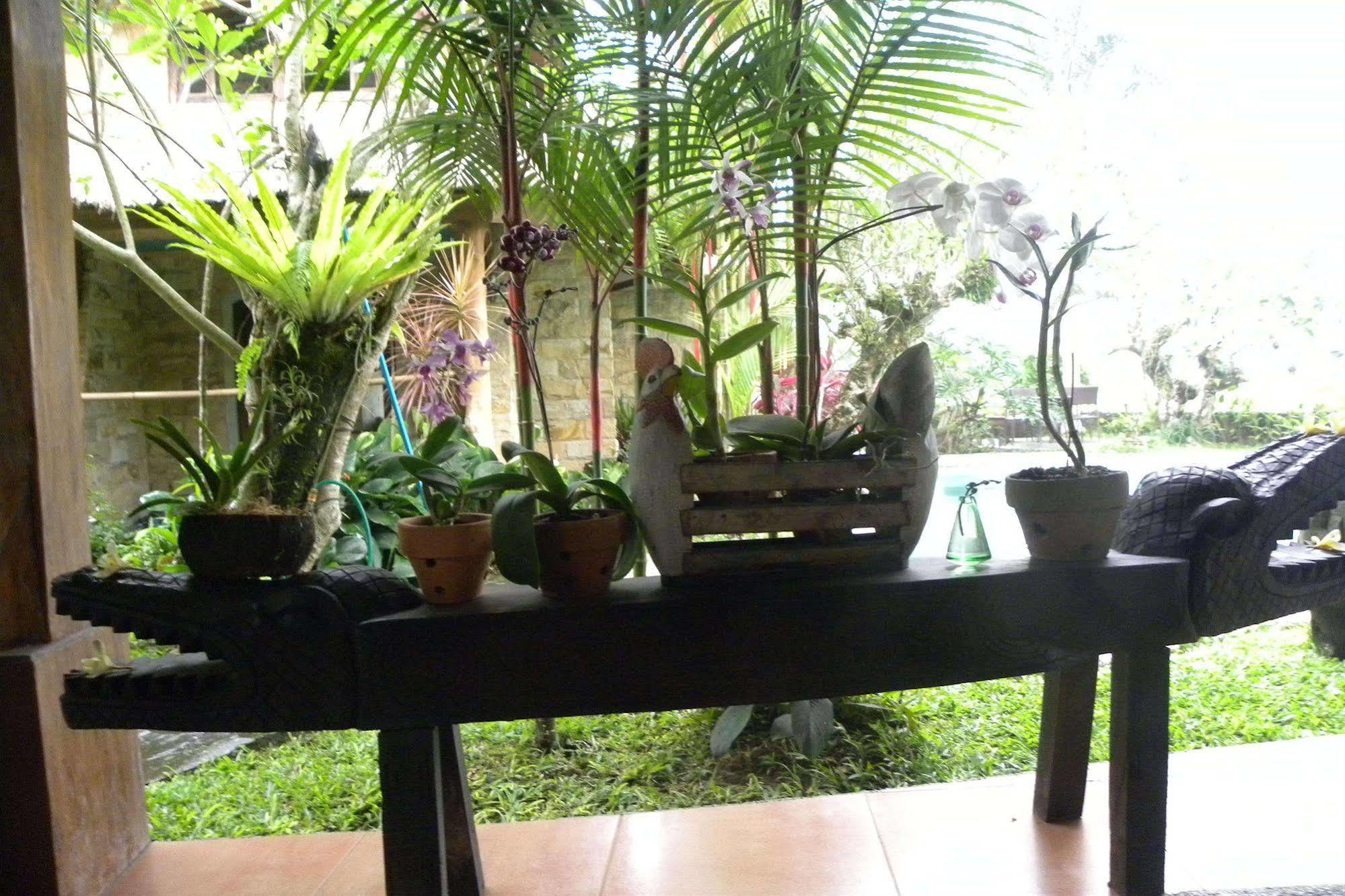 Saudara Home Ubud מראה חיצוני תמונה