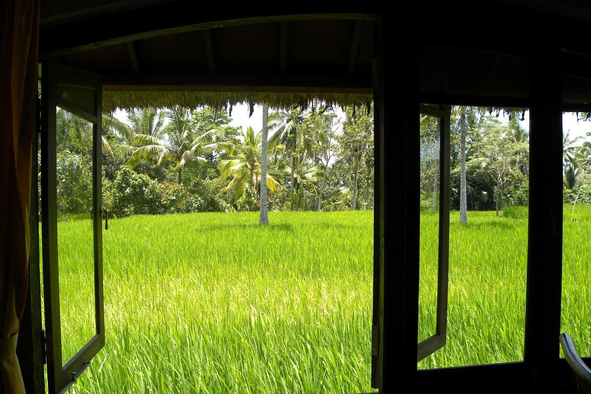 Saudara Home Ubud מראה חיצוני תמונה