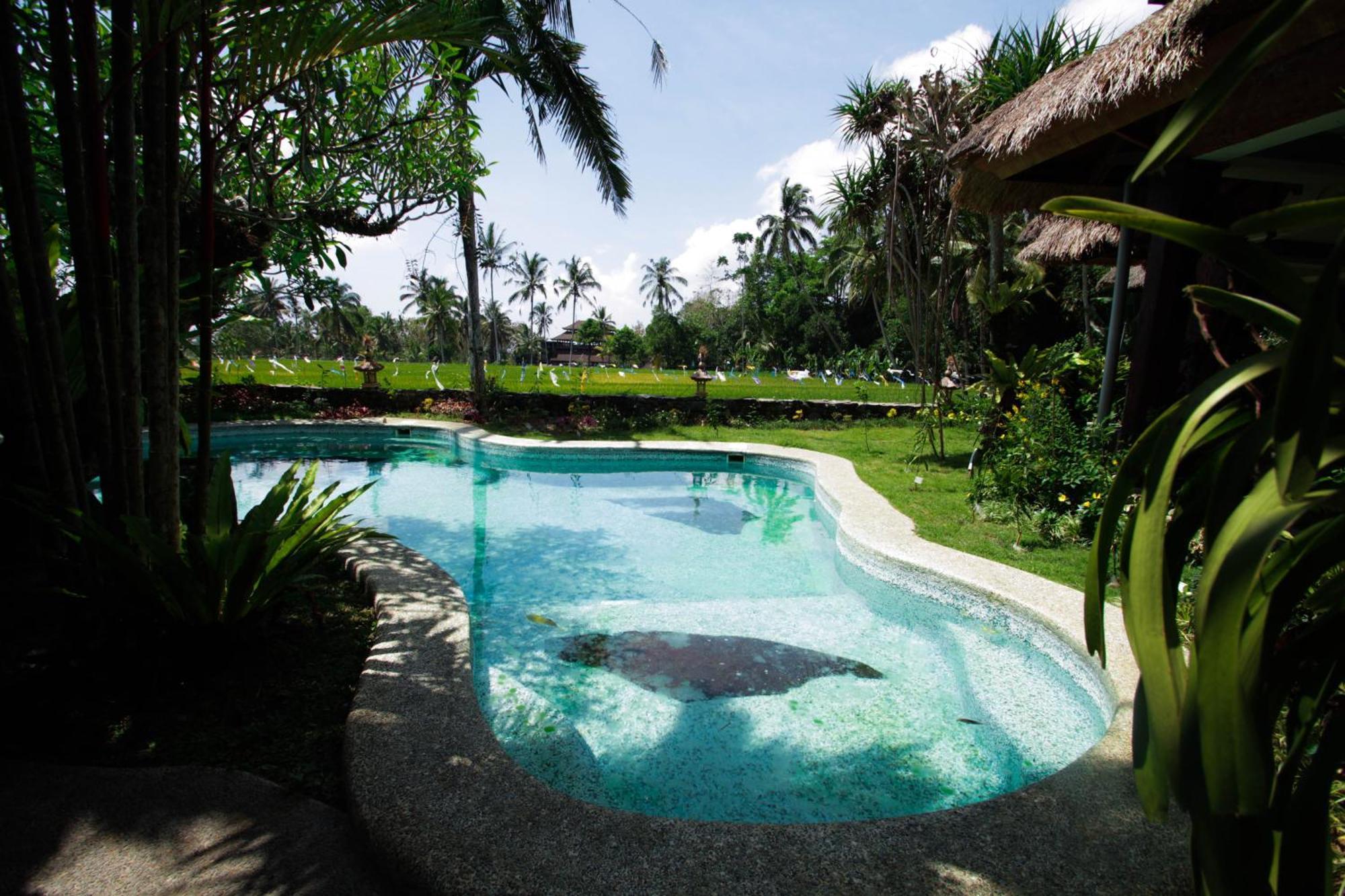 Saudara Home Ubud מראה חיצוני תמונה